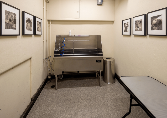 Inviting pet grooming area featuring a stainless steel wash station and adorable framed animal portraits.