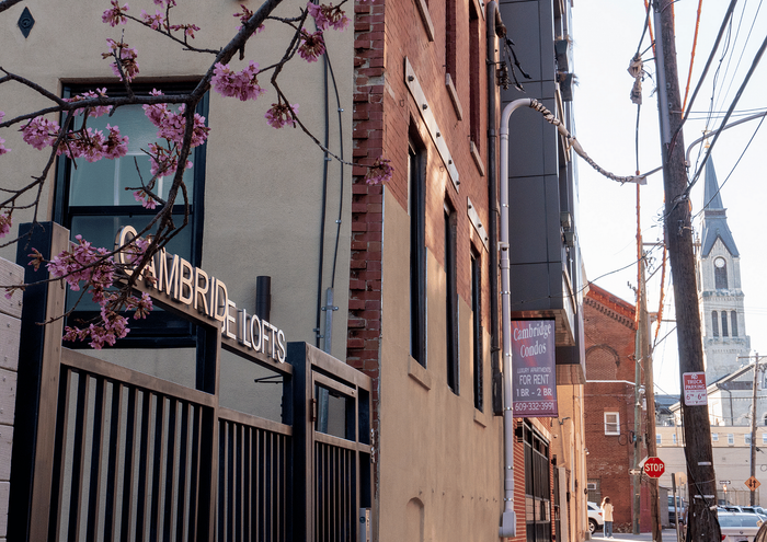 View of Cambridge Lofts showcasing blooming cherry blossoms and a historic neighborhood backdrop.
