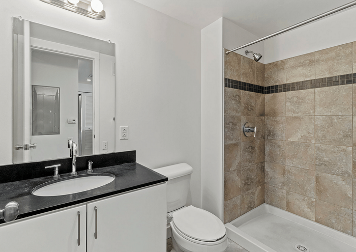 Modern bathroom showcasing a sleek vanity with a black countertop, large mirror, and a tiled walk-in shower.