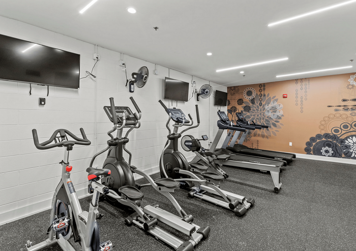 Modern gym with exercise bikes, ellipticals, and treadmills, featuring stylish wall decor.