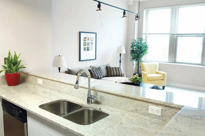 Modern apartment with an elegant granite kitchen counter, stainless steel sink, bright open living area, and large sunny windows.