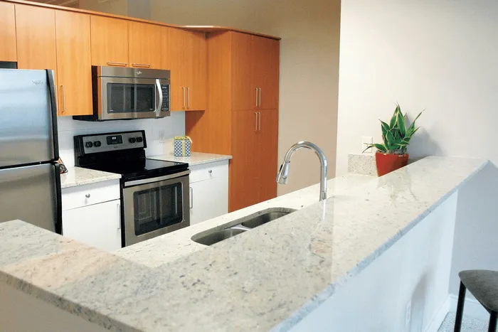 Modern kitchen with sleek granite countertops, stainless steel appliances, and stylish wooden cabinetry, offering a perfect blend of functionality and elegance.