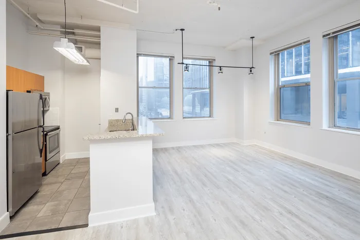 Bright and modern open-concept loft with sleek kitchen, hardwood floors, and large city-view windows.