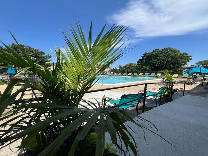 Inviting pool area with lush palm trees and plenty of lounge seating under a clear blue sky.