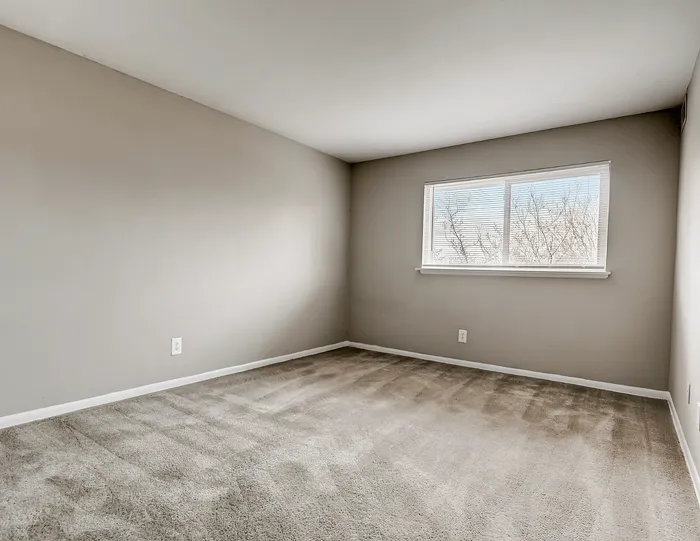 Bright and airy empty room with large window and plush carpet.