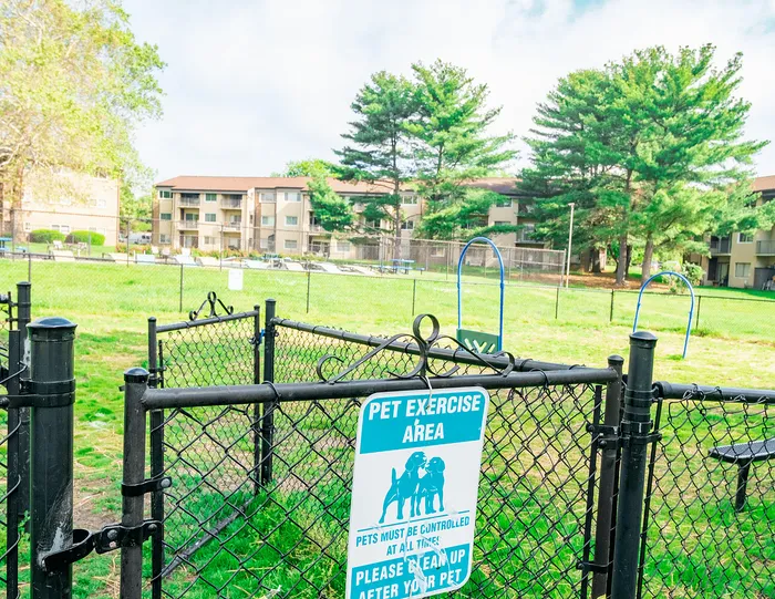 Pet-friendly apartment complex featuring a spacious exercise area surrounded by lush greenery and modern buildings in the background.