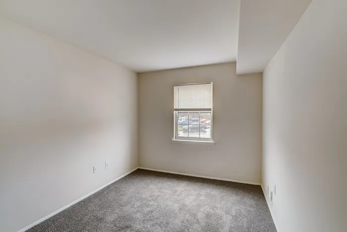 Bright and cozy room with fresh carpeting and a sunlit window overlooking scenic views.