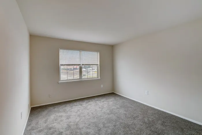 Bright and inviting room with plush carpet and ample natural light from a large window.