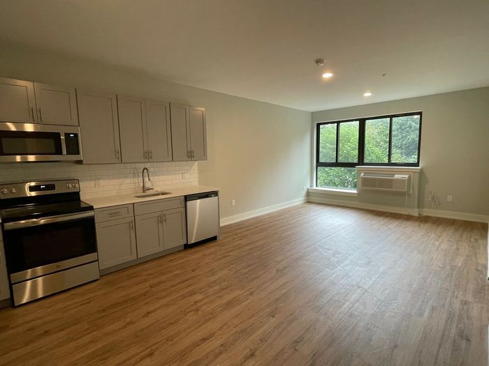 Bright open-plan living area with modern kitchen, featuring stainless steel appliances and large windows with a serene green view.