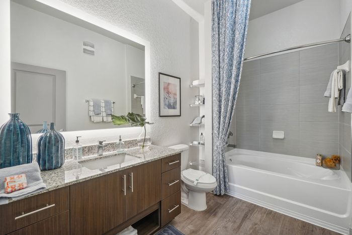 Elegant bathroom featuring a modern vanity with granite countertop, sophisticated decor, and a spacious bathtub with stylish blue shower curtain.
