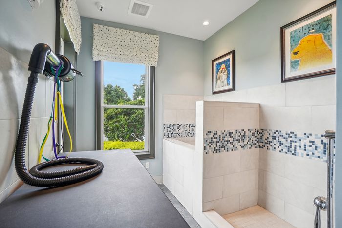 Bright and airy pet grooming room with large window, stylish tiled wash station, and charming animal artwork.
