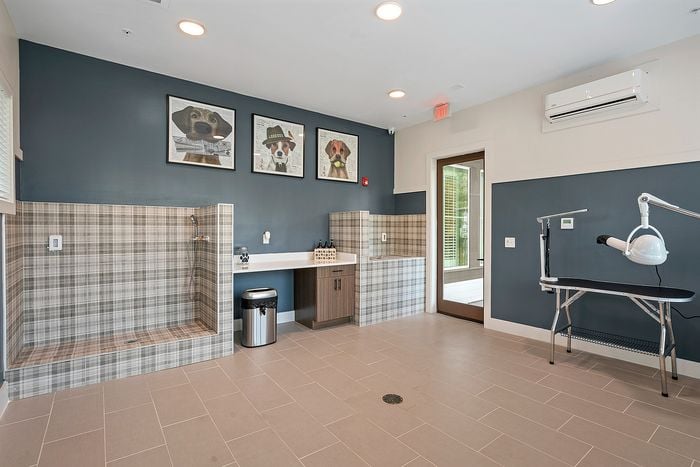 Modern pet grooming station featuring stylish tile design, grooming table, and playful dog artwork for a chic and functional experience.