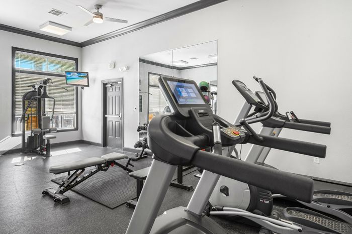 Modern apartment gym with high-end cardio machines, weight bench, and vibrant natural light for an inviting workout space.