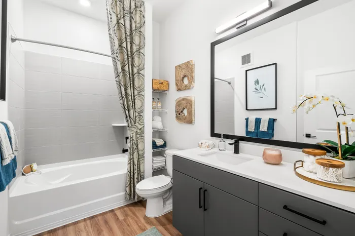 Elegant bathroom with modern fixtures, featuring a spacious vanity, stylish mirror, and inviting bathtub, complemented by a chic shower curtain.