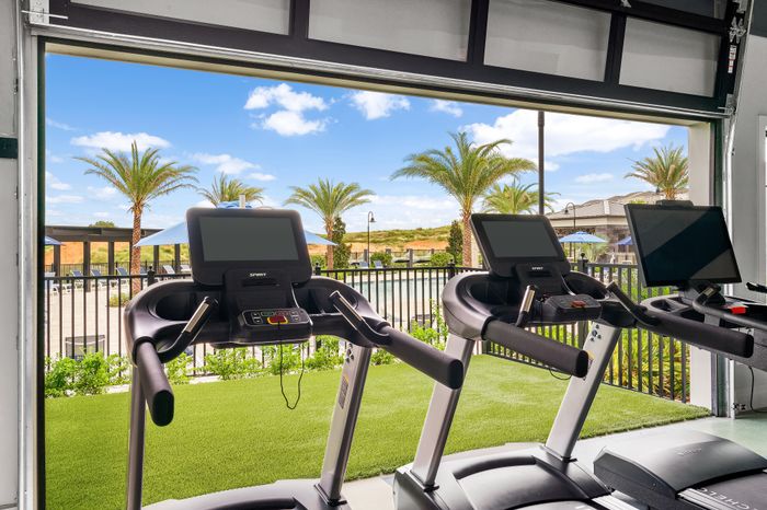 Luxurious gym with modern treadmills overlooking a stunning outdoor pool and palm trees under a bright blue sky.