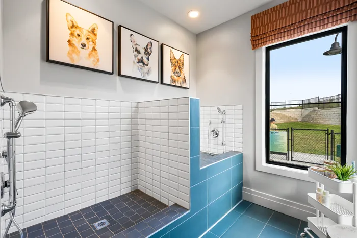 Bright and modern pet-friendly shower room featuring vibrant blue and white tiles, charming dog portraits, and a view of a lush green park through a large window.