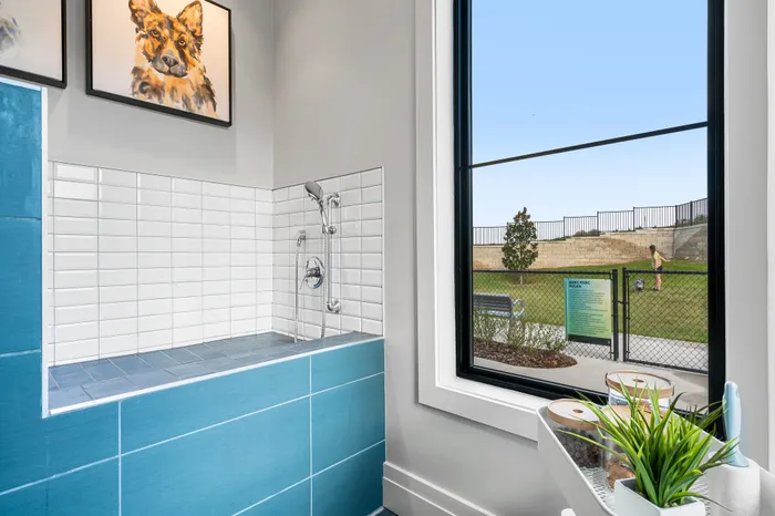 Charming pet-friendly wash station with vibrant blue tiles and a scenic view of a lively outdoor park through a large window.