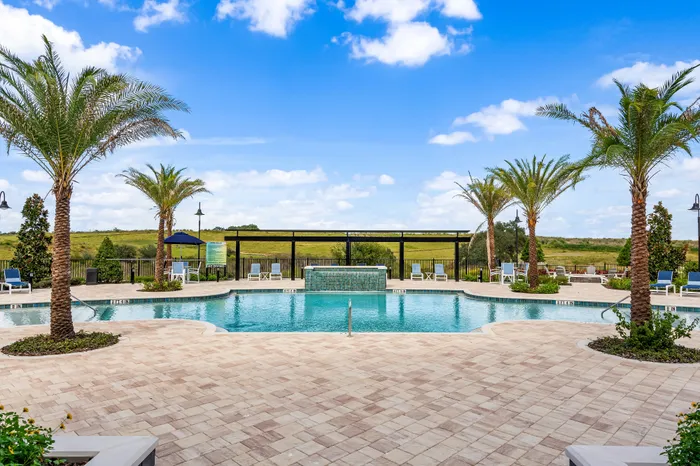 Luxurious outdoor pool with palm trees, spacious sunbathing area, and open skies, perfect for relaxation and leisure.