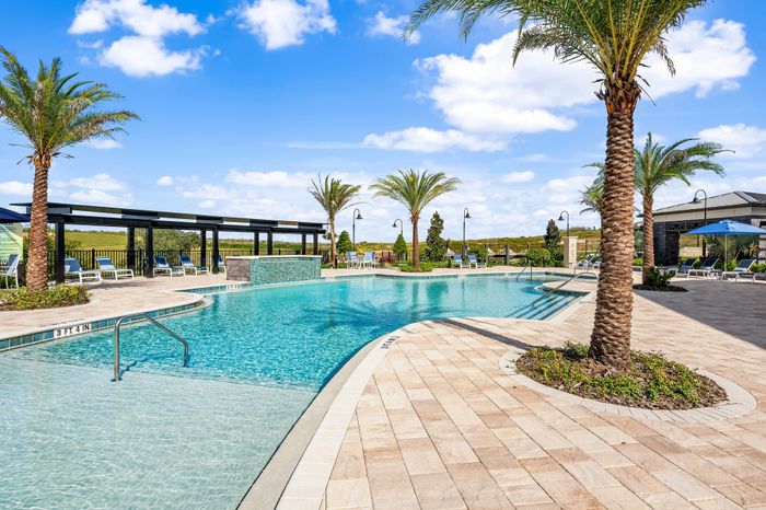 Luxurious resort-style swimming pool area with palm trees, sun loungers, and clear blue sky, perfect for relaxation and leisure.