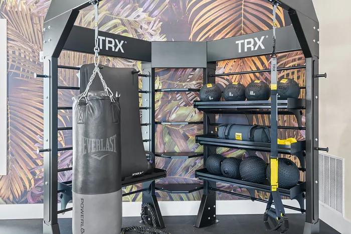 Modern fitness corner with TRX training equipment, high-end punching bag, and vibrant tropical mural for an energizing workout atmosphere.