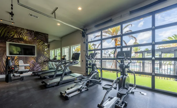 Bright and airy gym with modern exercise equipment, featuring large windows with scenic views of palm trees and a pool.