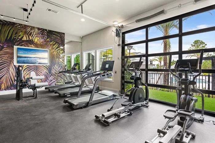 Luxury apartment gym with modern workout equipment, vibrant tropical mural, and large windows offering scenic outdoor views.