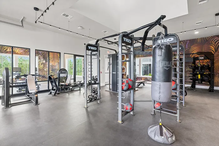 Modern fitness center with state-of-the-art gym equipment, including a punching bag, weight machines, and bright natural lighting.