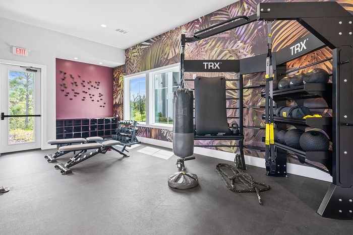 Bright and modern gym space featuring TRX equipment, punching bag, adjustable bench, and vibrant wall art with nature motifs.
