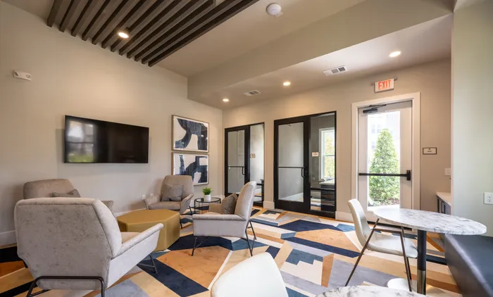 Contemporary lounge with cozy armchairs, modern decor, and a stylish geometric rug, perfect for relaxation and social gatherings.