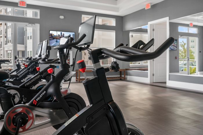 Modern gym with state-of-the-art exercise bikes in a bright, spacious room with large windows and sleek flooring.