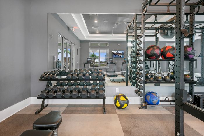 Modern apartment gym with sleek design, featuring a variety of exercise equipment including weights, medicine balls, and treadmills, all set against a stylish mirrored wall.
