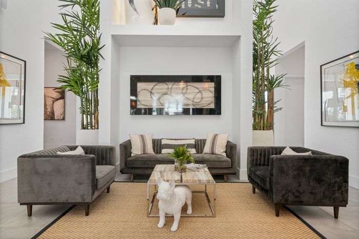 Chic modern lounge with plush grey sofas, elegant decor, and lush indoor plants for a luxurious living experience.