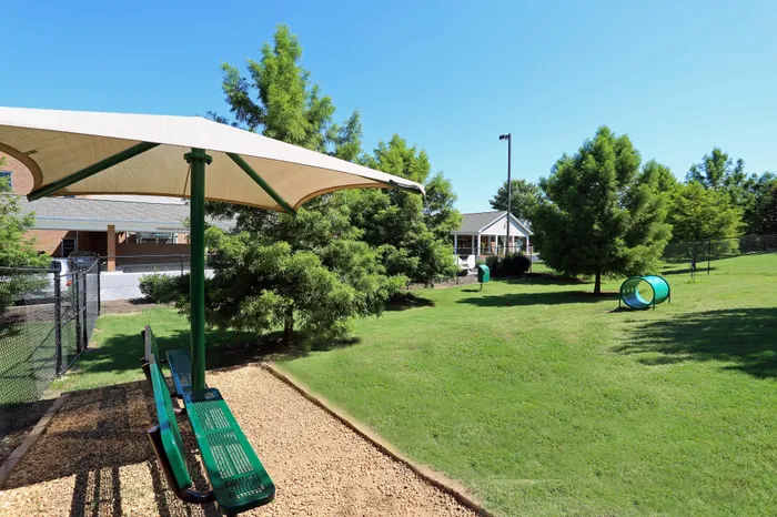 Inviting outdoor area with lush green lawns, shaded seating, and a dog play tunnel, perfect for relaxation and recreation.