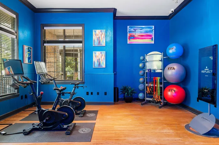 Vibrant home gym with sleek exercise bikes, colorful yoga balls, and modern decor against striking blue walls.