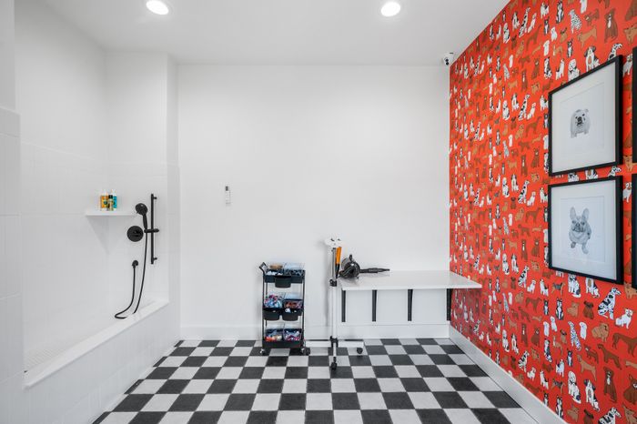Charming pet-friendly washroom with vibrant dog-themed wallpaper, sleek black shower fixtures, and stylish checkered floor tiles.