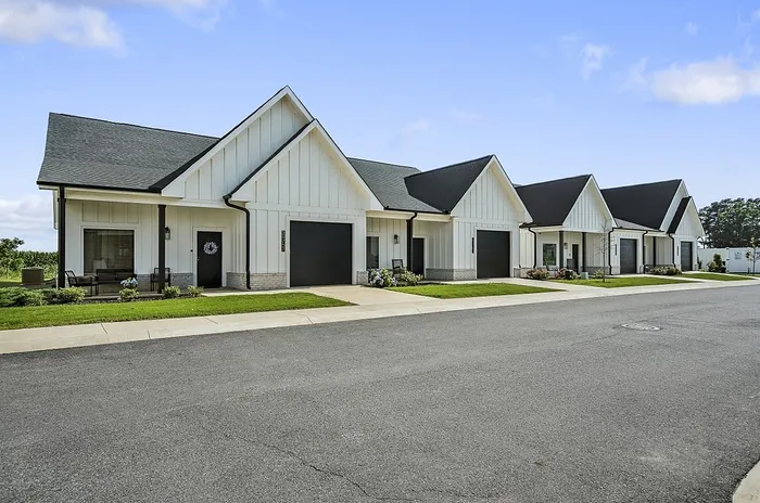 Charming row of modern bungalows with elegant black roofs, nestled in a serene neighborhood.