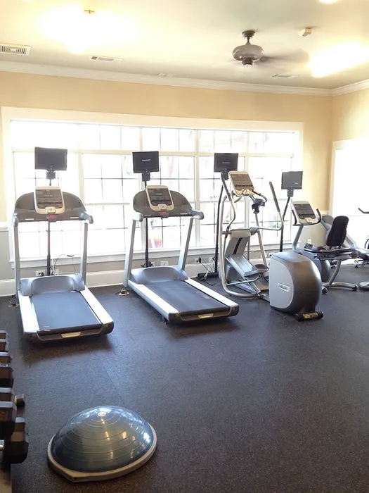 Bright fitness center featuring state-of-the-art treadmills and cardio equipment with large windows providing natural light.