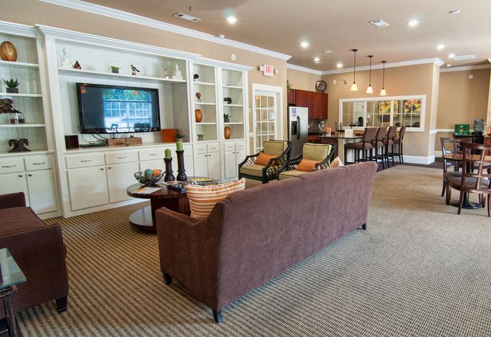 Inviting open-concept living area with plush seating, elegant cabinetry, and modern kitchen dining space, perfect for relaxation and entertaining.