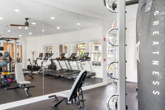 Modern fitness center with state-of-the-art equipment, featuring treadmills, stationary bikes, and a punching bag in a bright, mirrored space.