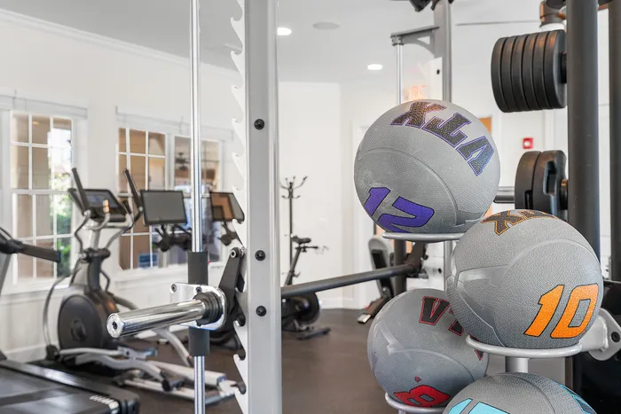 Modern apartment gym with sleek exercise equipment, bright windows, and colorful medicine balls creating an inviting fitness space.