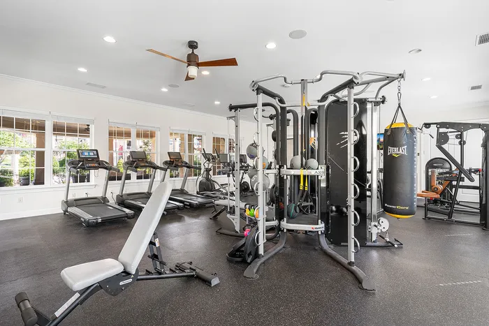 Modern fitness center equipped with cardio machines, weight training equipment, and a punching bag in a bright, airy space.