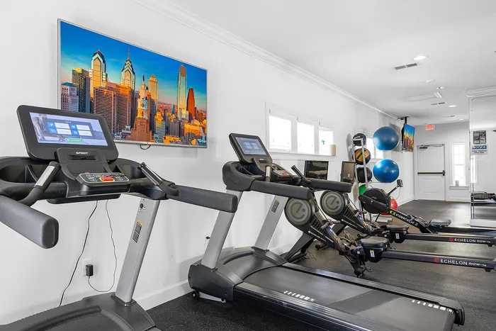 Modern fitness center with advanced treadmills, rowing machines, and vibrant exercise balls under elegant lighting.
