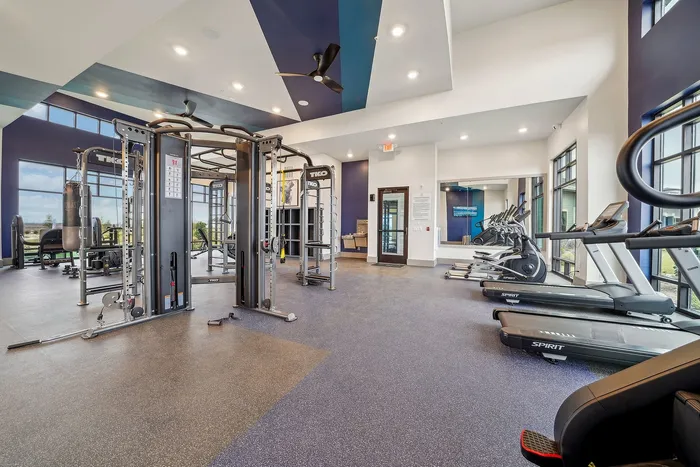Spacious modern gym with state-of-the-art equipment, featuring floor-to-ceiling windows and vibrant interior design.