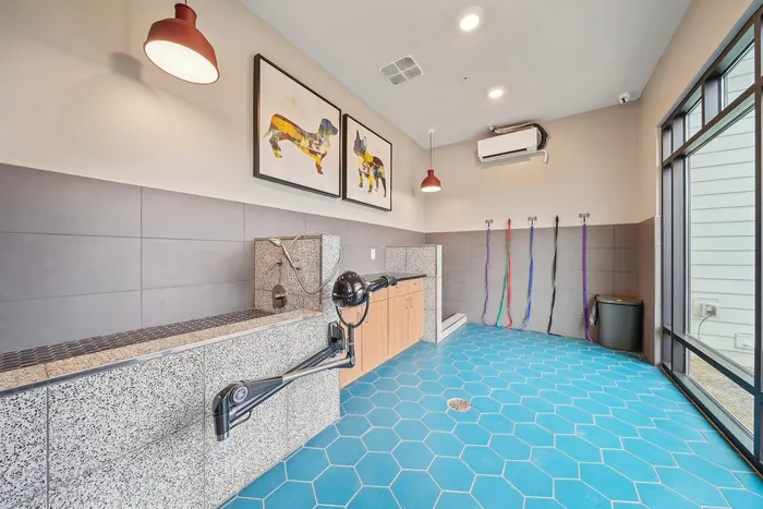 Bright and modern pet washing station with colorful art, vibrant blue hexagon tiles, and chic lighting fixtures, offering a stylish and functional space for pampering pets.