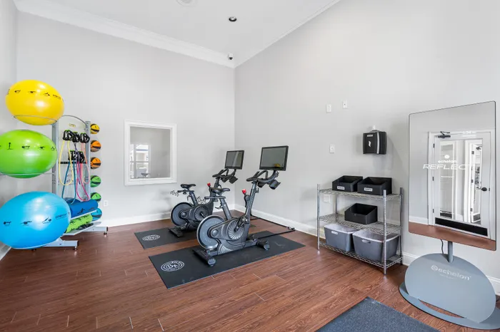 Modern apartment gym featuring high-end exercise bikes, vibrant fitness balls, and sleek fitness equipment for a comprehensive workout experience.