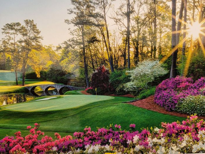 Scenic golf course landscape at sunrise, featuring a picturesque stone bridge, lush greenery, and vibrant blooming flowers.