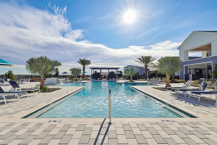 Luxurious resort-style pool with sun loungers, palm trees, and bright blue skies, perfect for relaxation and leisure.
