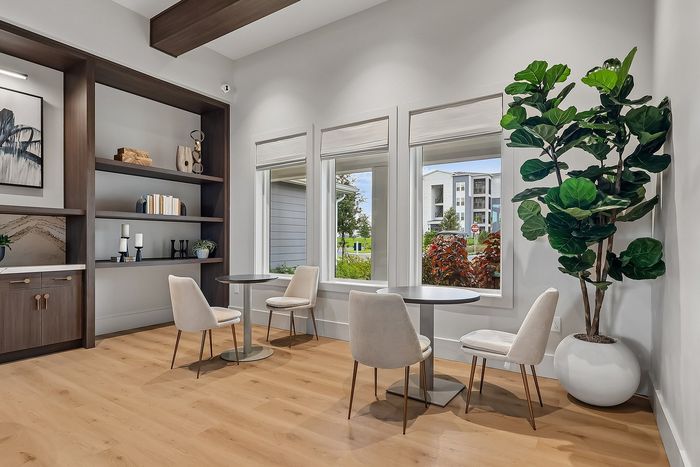 Modern apartment space with elegant wooden shelves, stylish seating area, and lush indoor plant, offering a cozy yet sophisticated ambiance.
