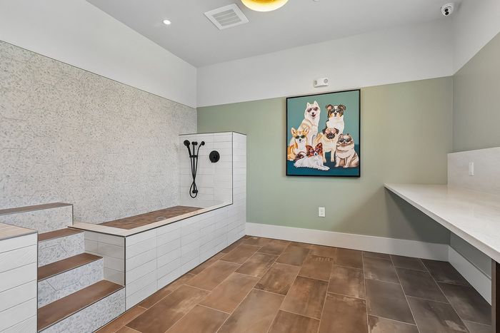 Chic pet washing station with stylish tile design and playful dog artwork, perfect for pampering your furry friends.
