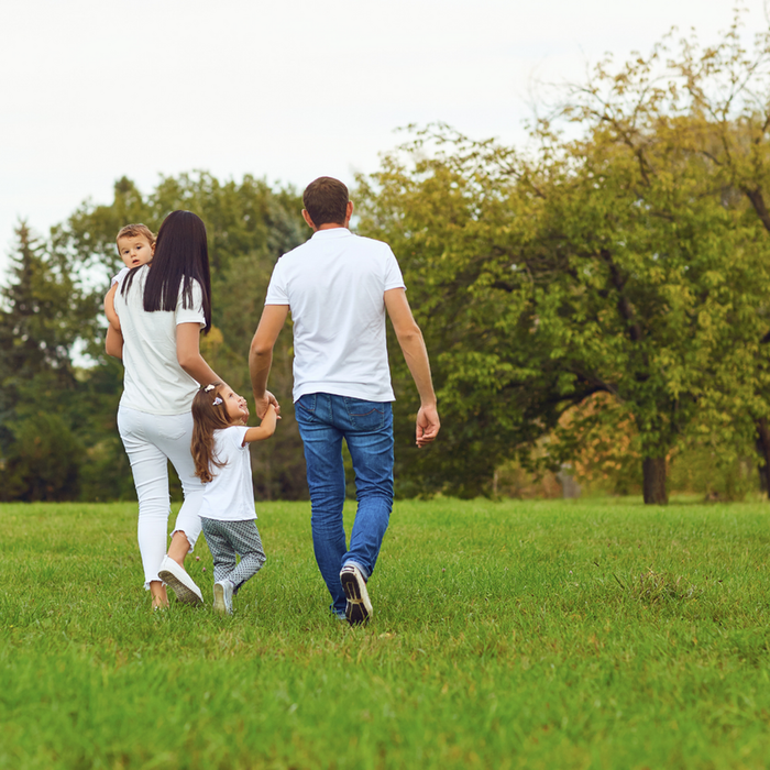 Happy family walking hand in hand through a lush green park, enjoying a sunny day outdoors.